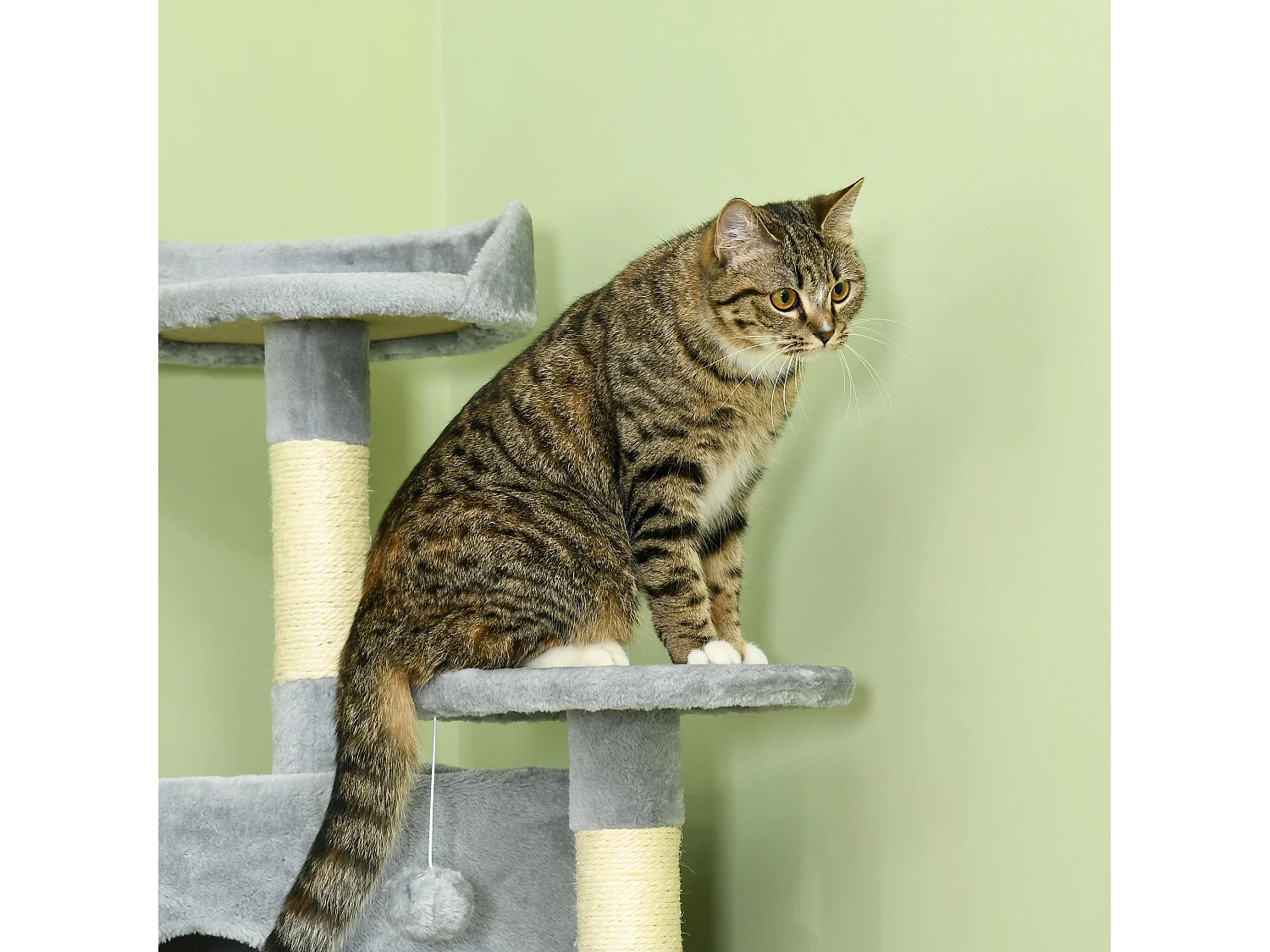 Albero tiragraffi per gatti alto 200cm con casette e amache grigio chiaro