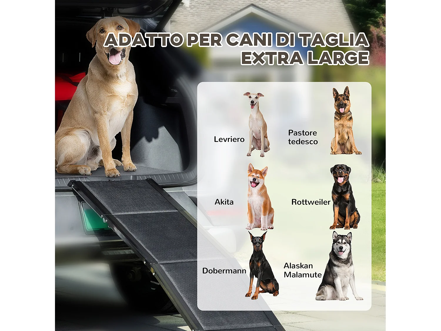Rampa per cani pieghevole e antiscivolo con profili in alluminio nero