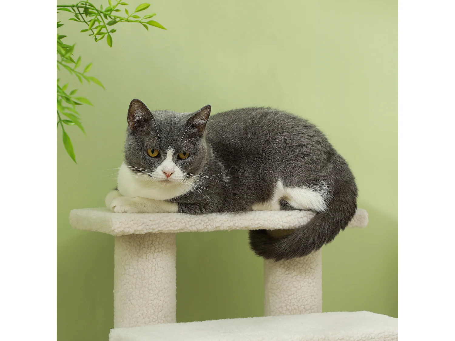 Scaletta per animali domestici con 4 gradini e morbido rivestimento crema