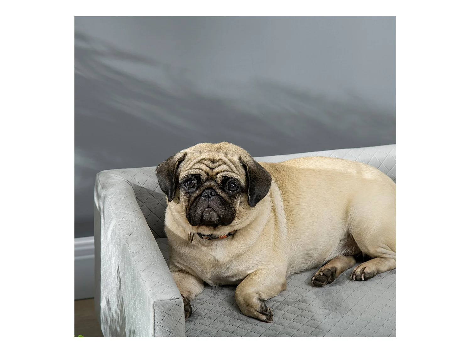 Divano per cani e gatti con cuscino imbottito in velluto e legno grigio