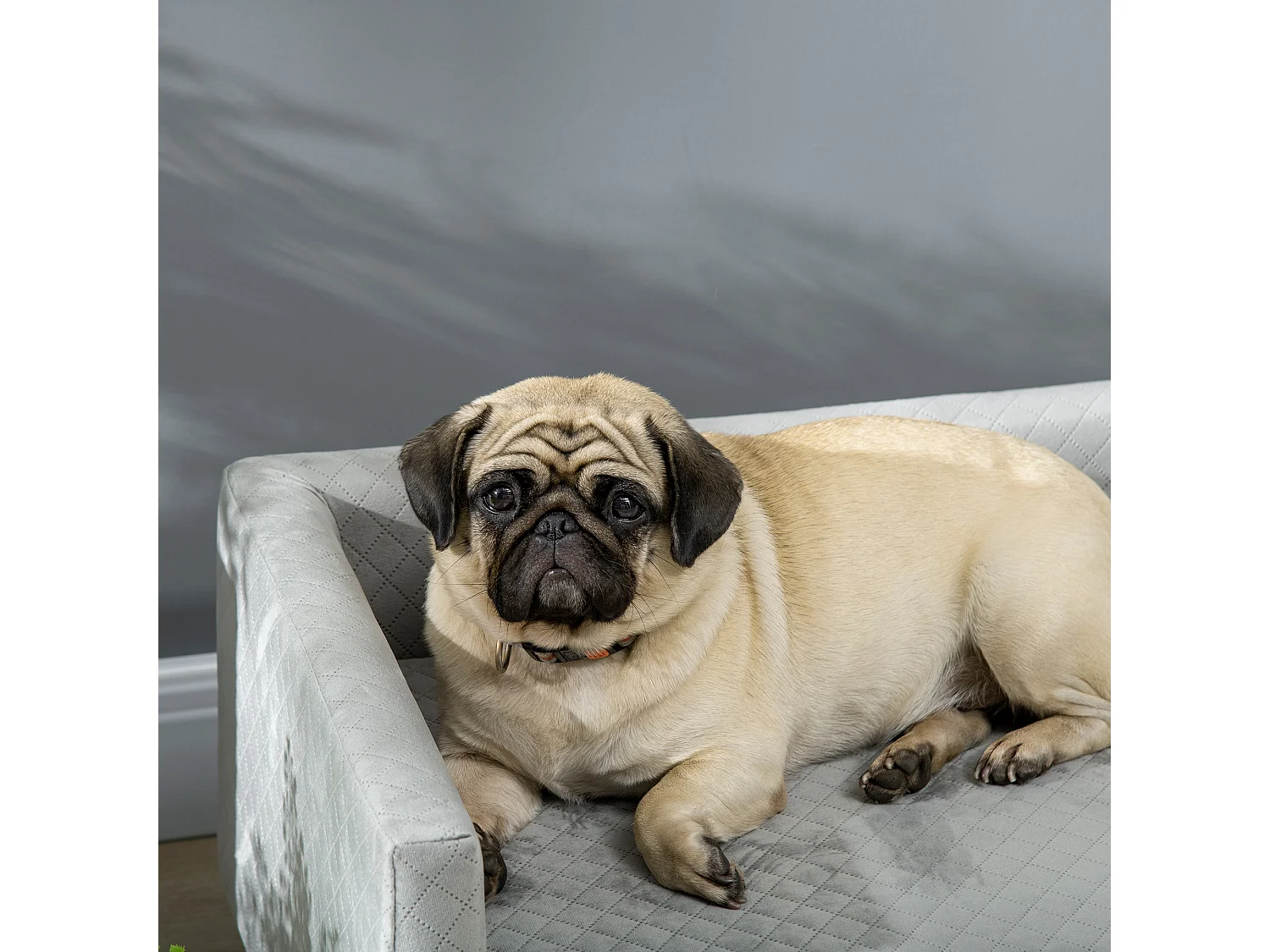 Divano per cani e gatti con cuscino imbottito in velluto e legno grigio