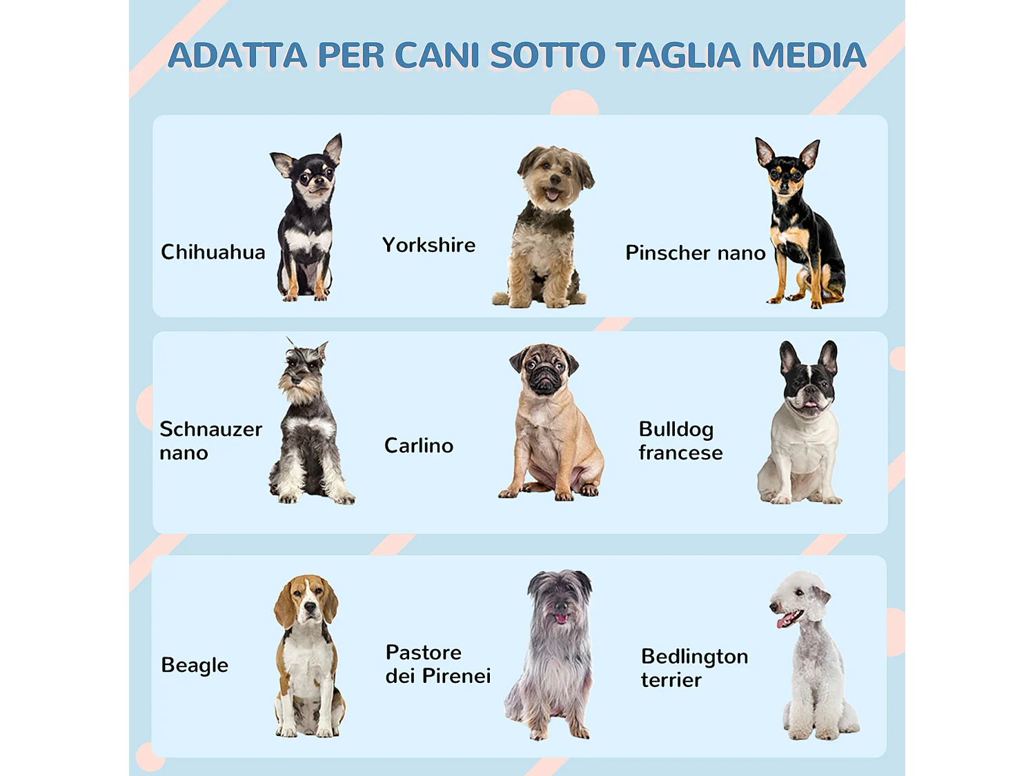 Cuccia per cani taglia media e piccola in pp impermeabile blu
