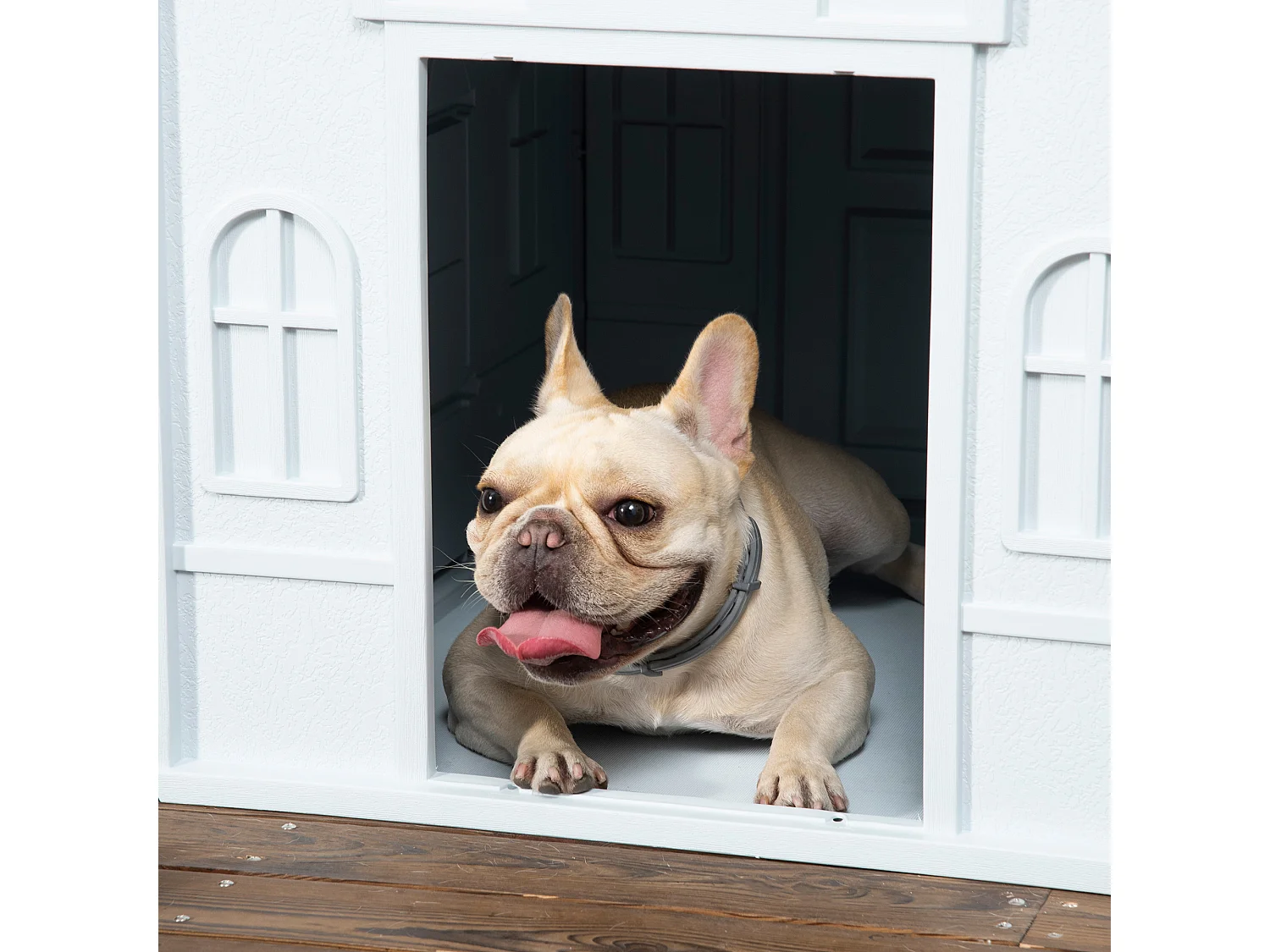 Cuccia per cani taglia media e piccola in pp impermeabile blu