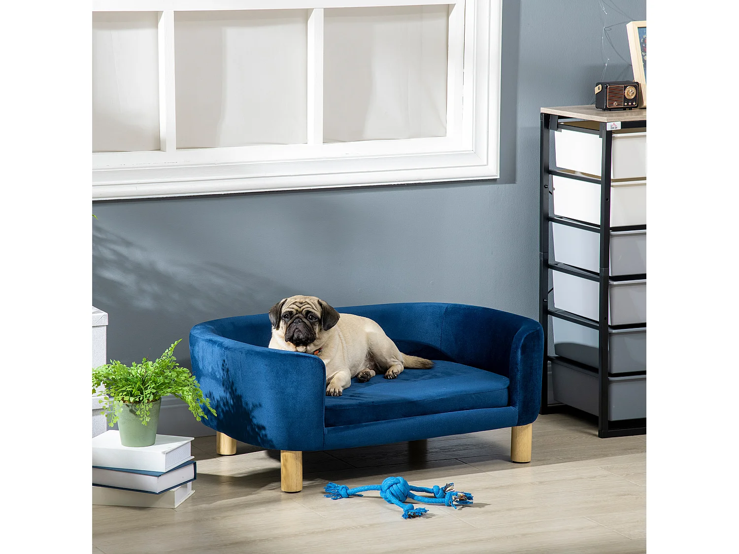 Cuccia per cani da interni divano per gatti cani di taglia piccola media