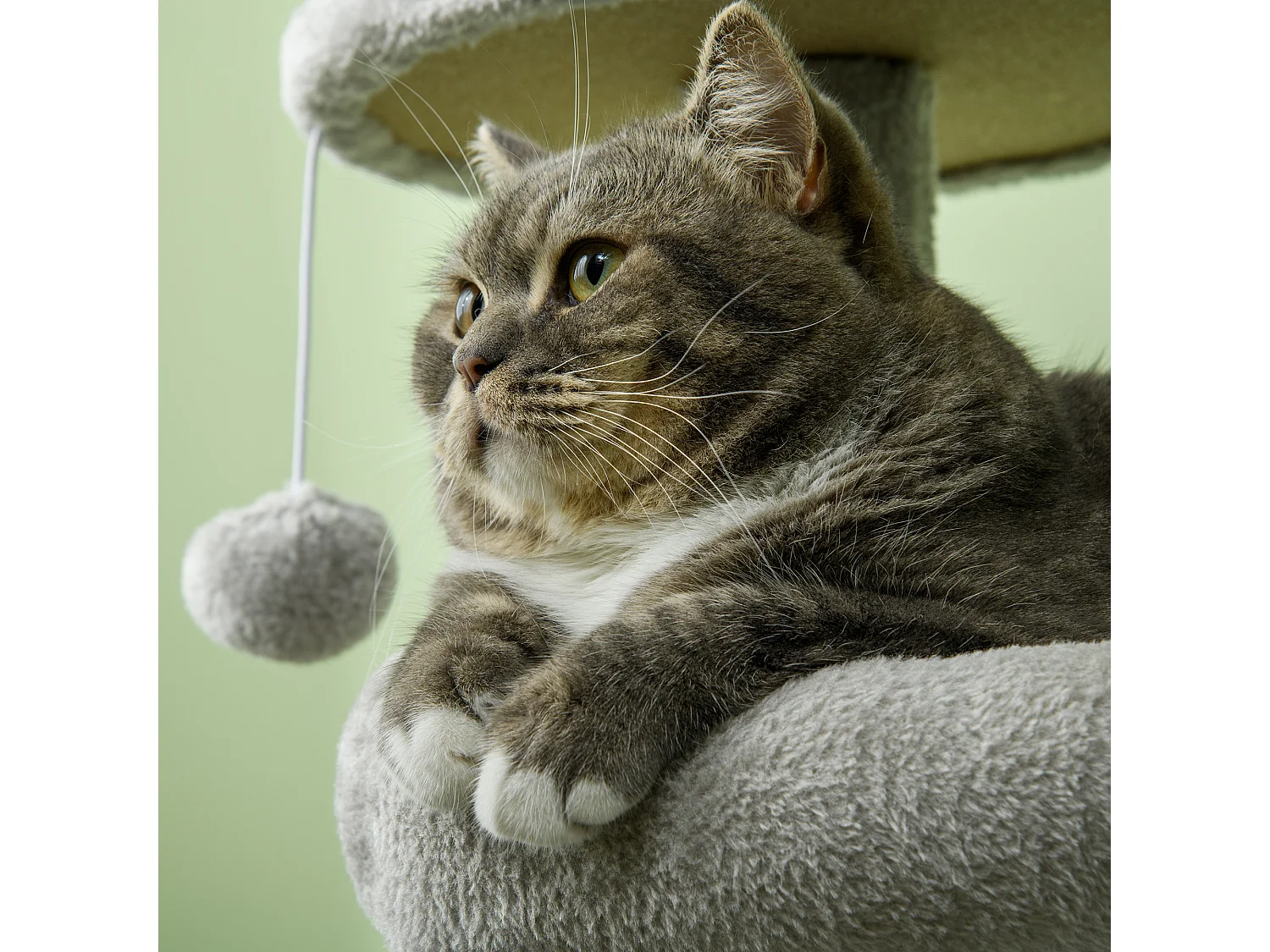 Tiragraffi per gatti in truciolato con casetta posatoi e trespoli