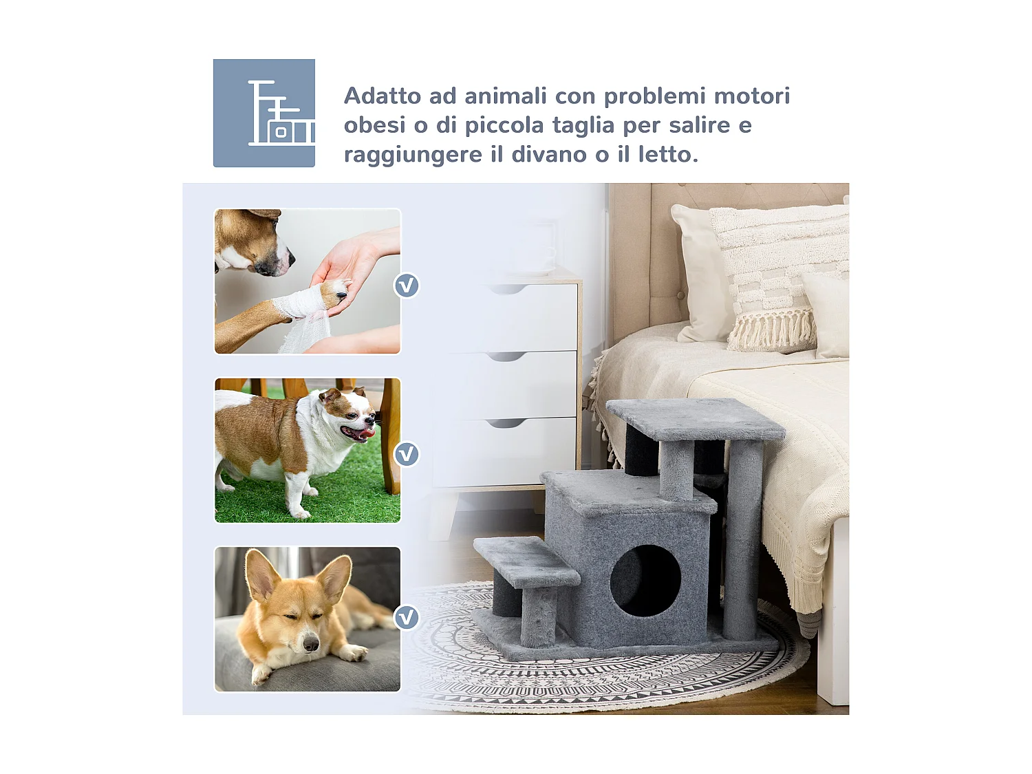 Scaletta per cani con gradino rimovibile, pallina e area interna grigia