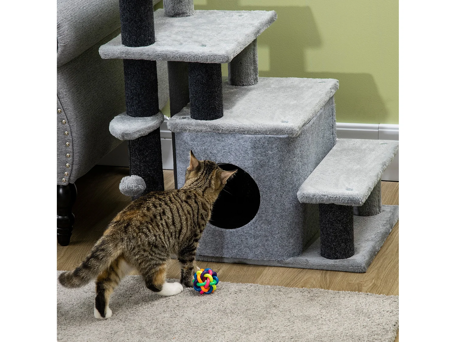 Scaletta per cani con gradino rimovibile, pallina e area interna grigia