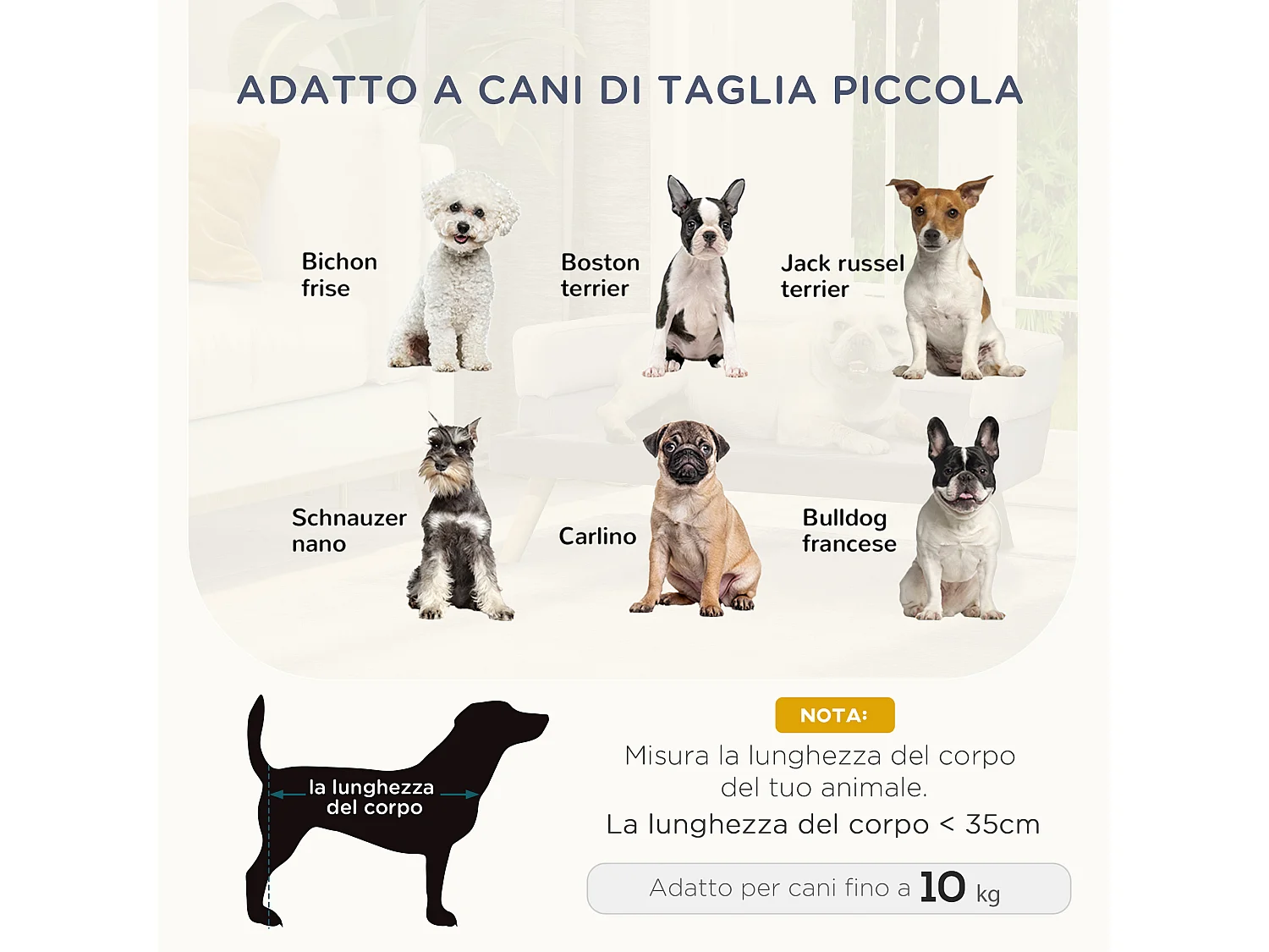 Cuccia per cani da interni divano per animali piccola grigio chiaro