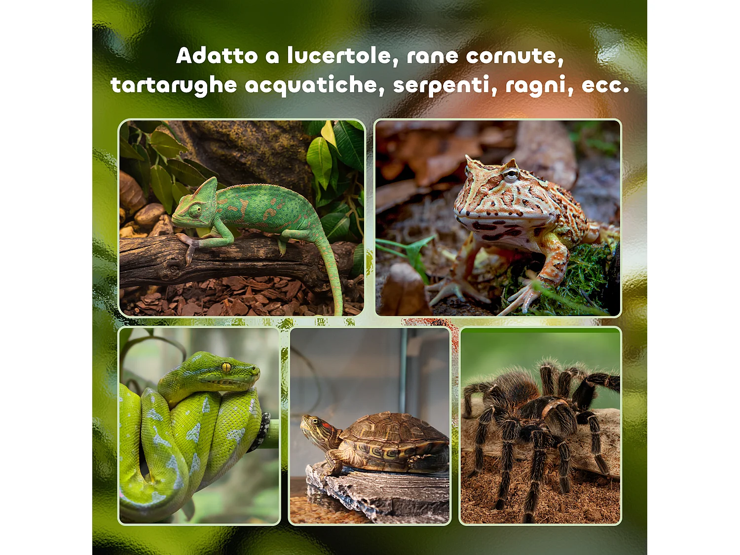 Terrario per rettili rialzato con serratura e termometro 30x30x20 cm nero