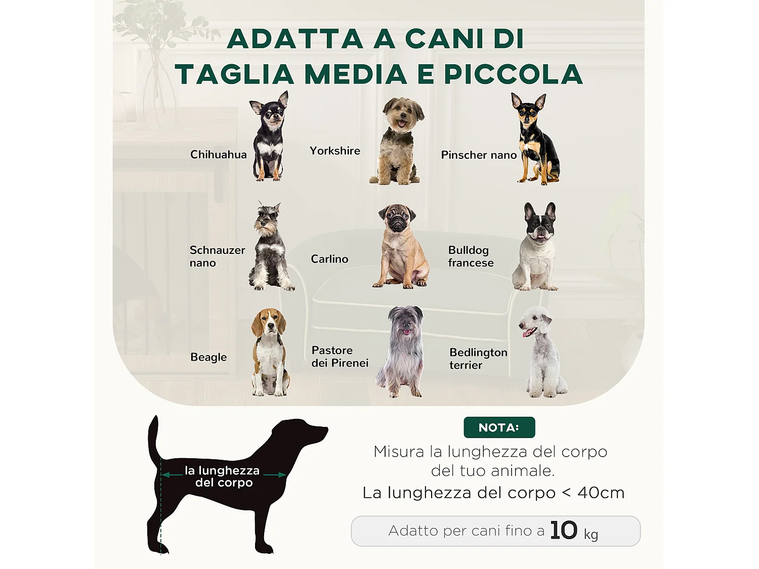 Divano per cani con cuscino incluso 79x56x35 cm verde scuro