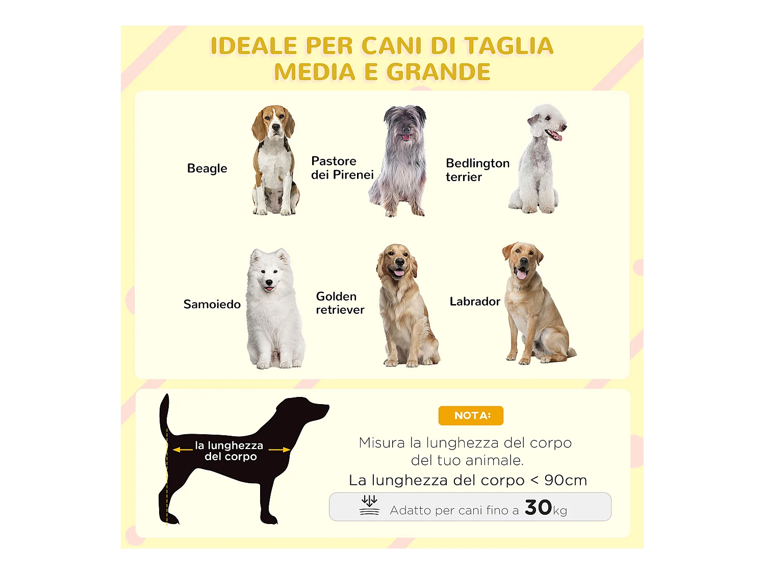 Cuccia per cani da esterno in legno e plastica con portico e finestre