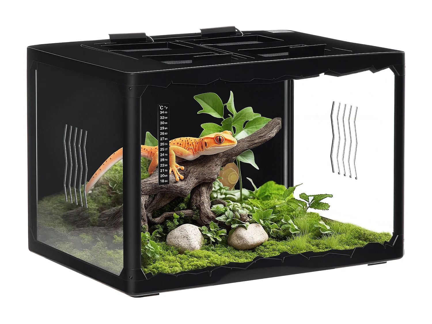 Terrario per tartarughe e rettili termometro 18-34℃ 60x40x40.5cm