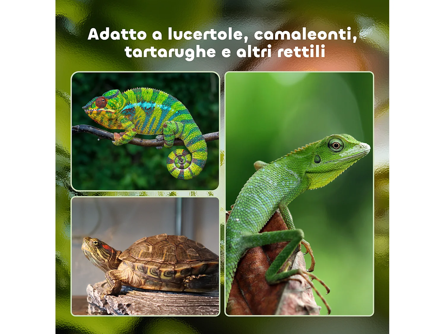 Terrario per tartarughe e rettili termometro 18-34℃ 60x40x40.5cm