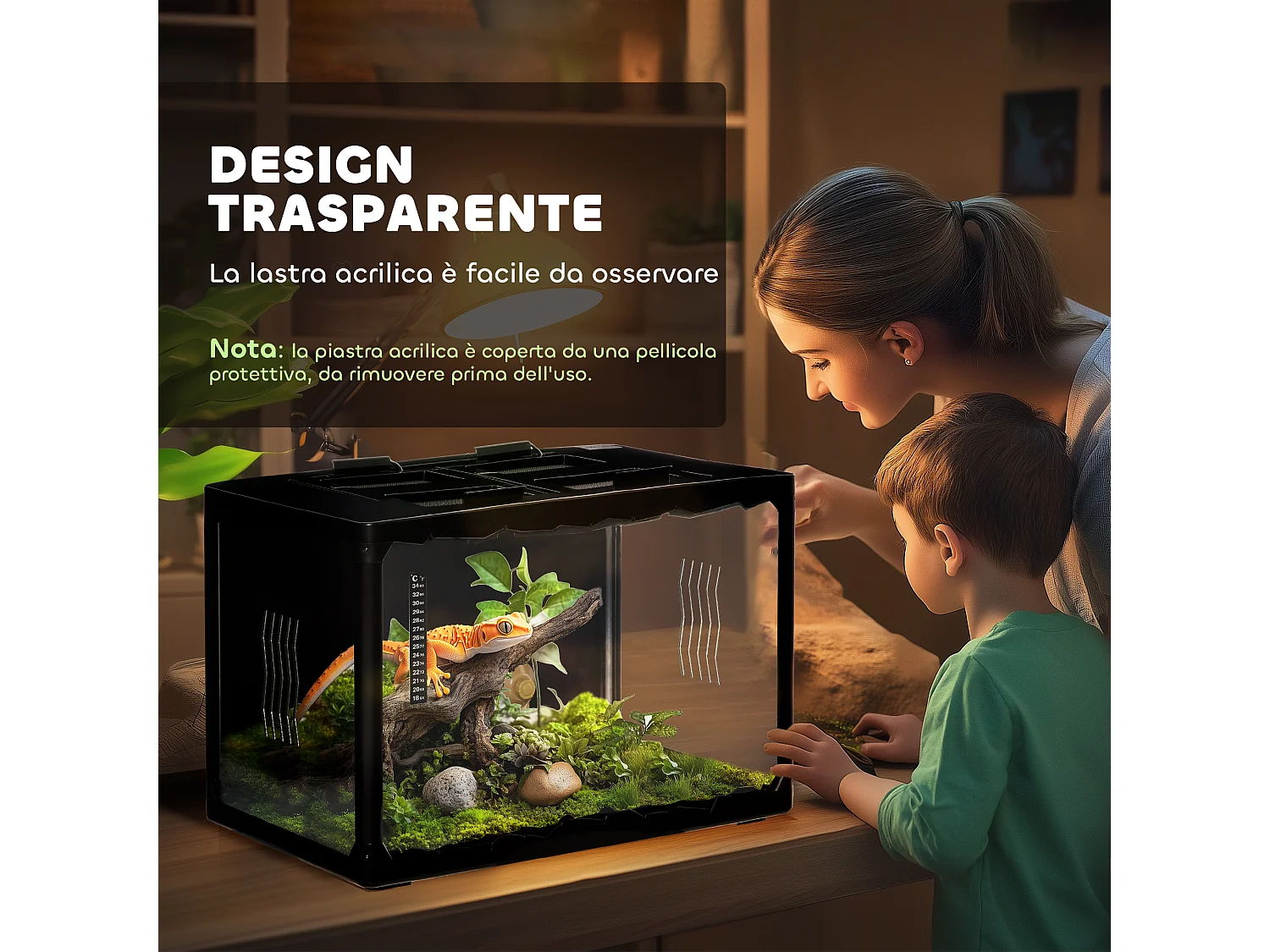 Terrario per tartarughe e rettili termometro 18-34℃ 60x40x40.5cm