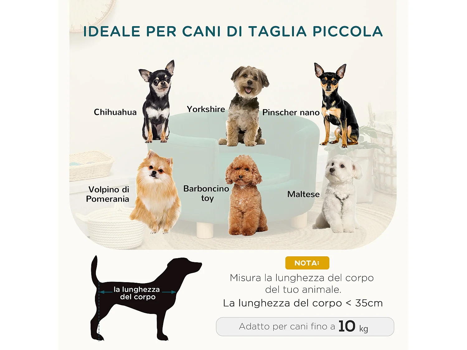 Divano per cani e gatti con schienale e cuscino rimovibile verde