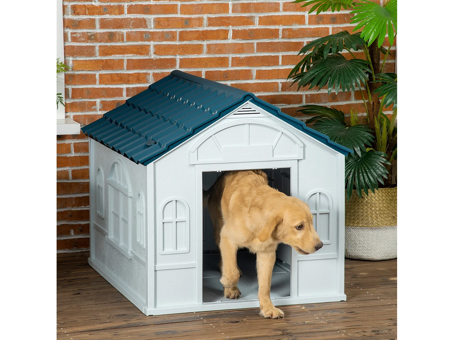 Cuccia per cani taglia media e grande in pp impermeabile blu