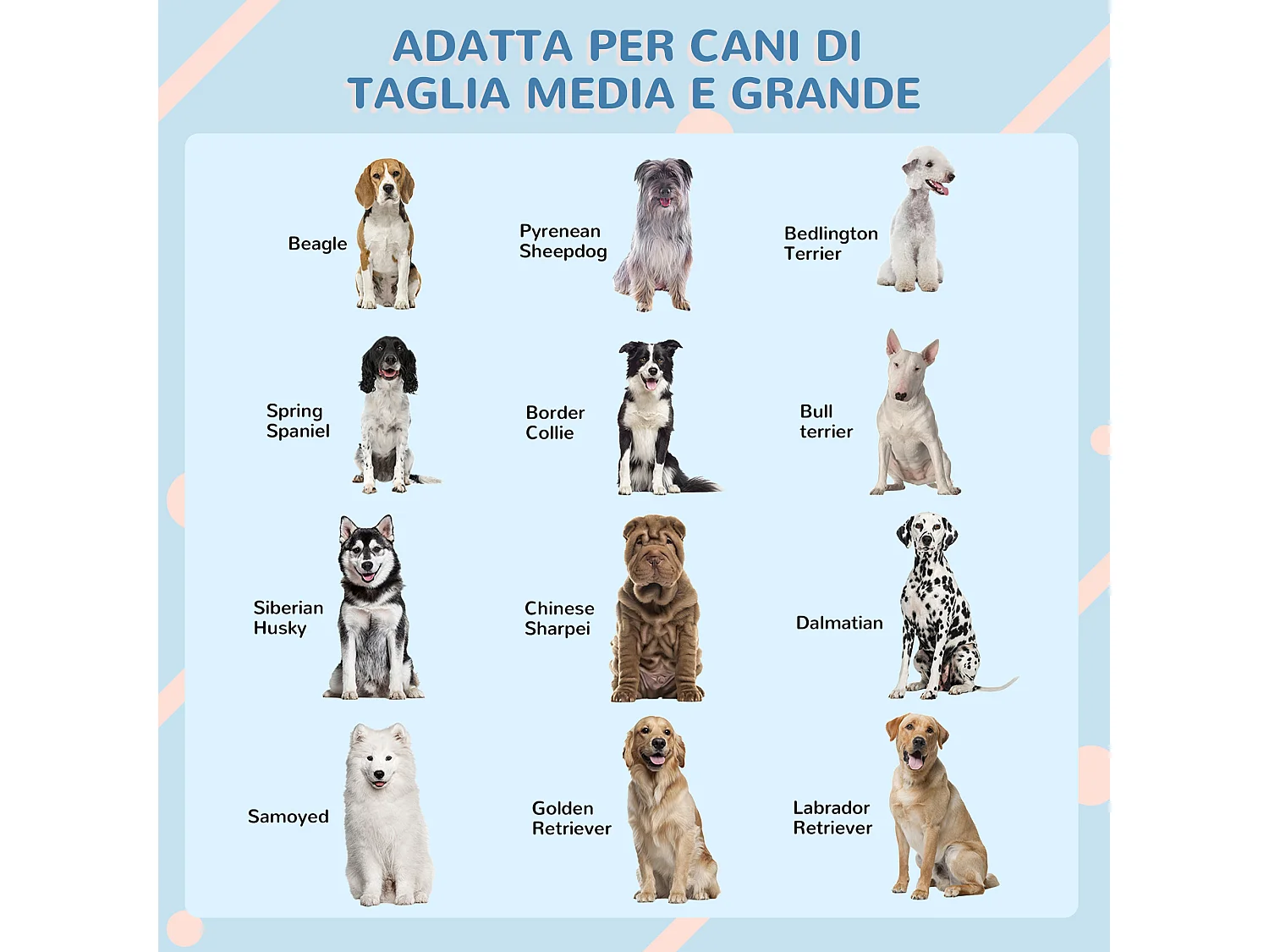 Cuccia per cani taglia media e grande in pp impermeabile blu