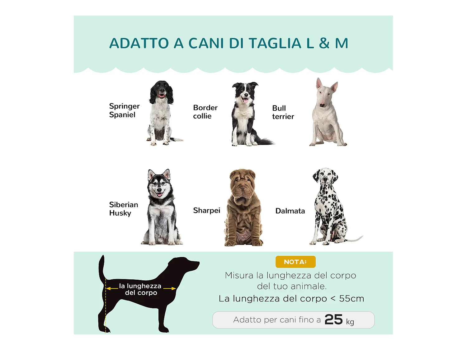 Divano per cani taglia medio-grande max.25kg sfoderabile lavabile verde
