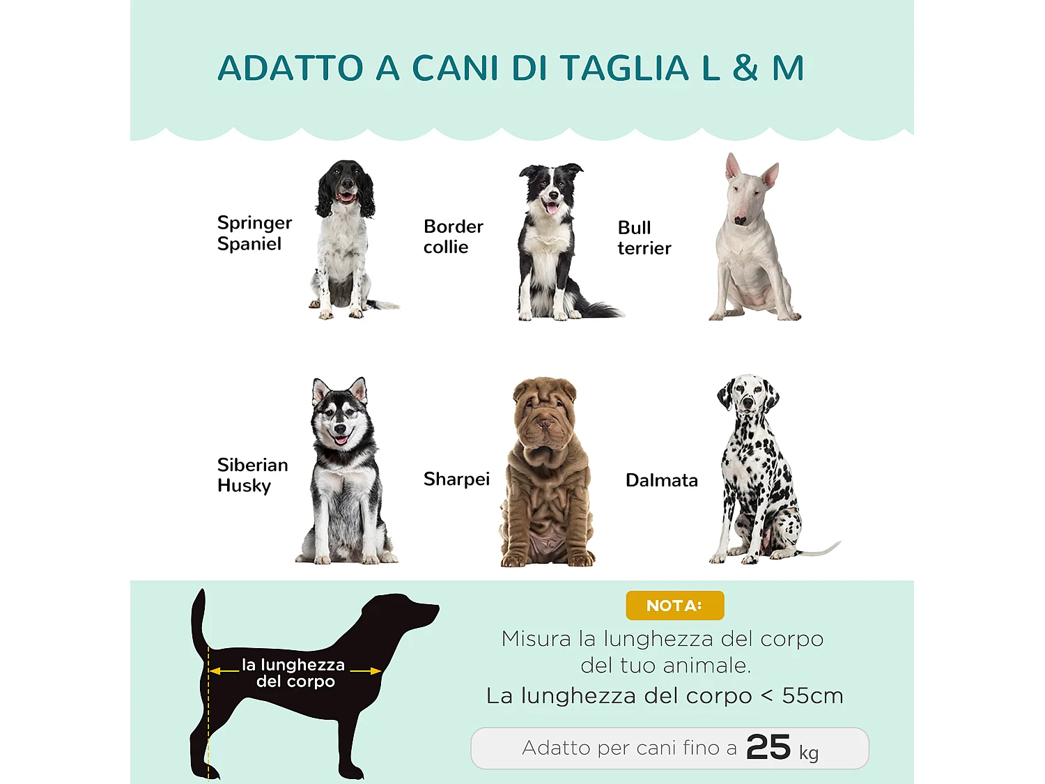 Divano per cani taglia medio-grande max.25kg sfoderabile lavabile verde