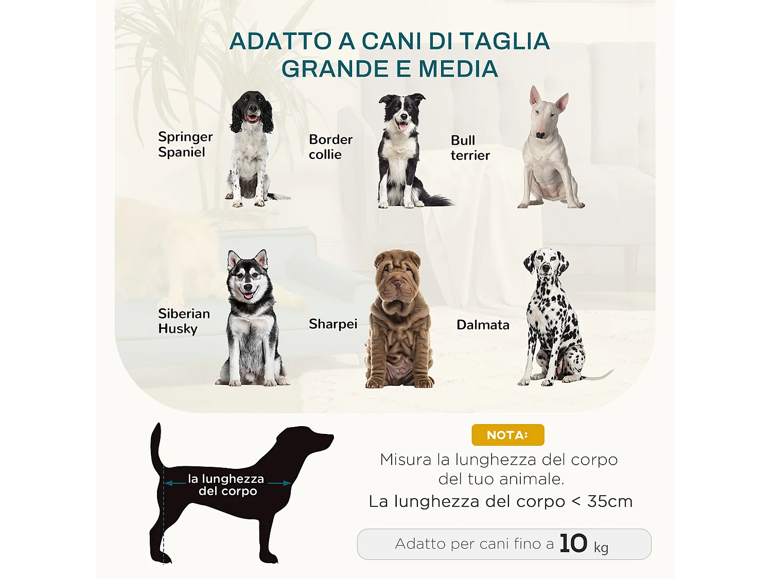 Divano per cani grandi con rivestimento morbido e lavabile verde