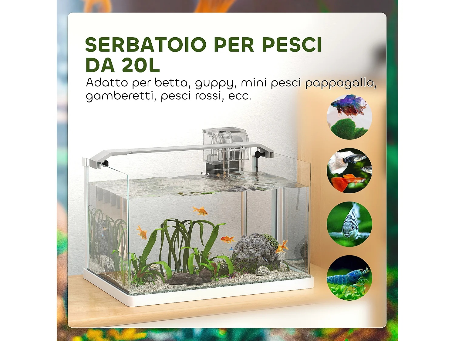 Acquario in vetro con luci led da 20l, filtro e pompa d'acqua bianco