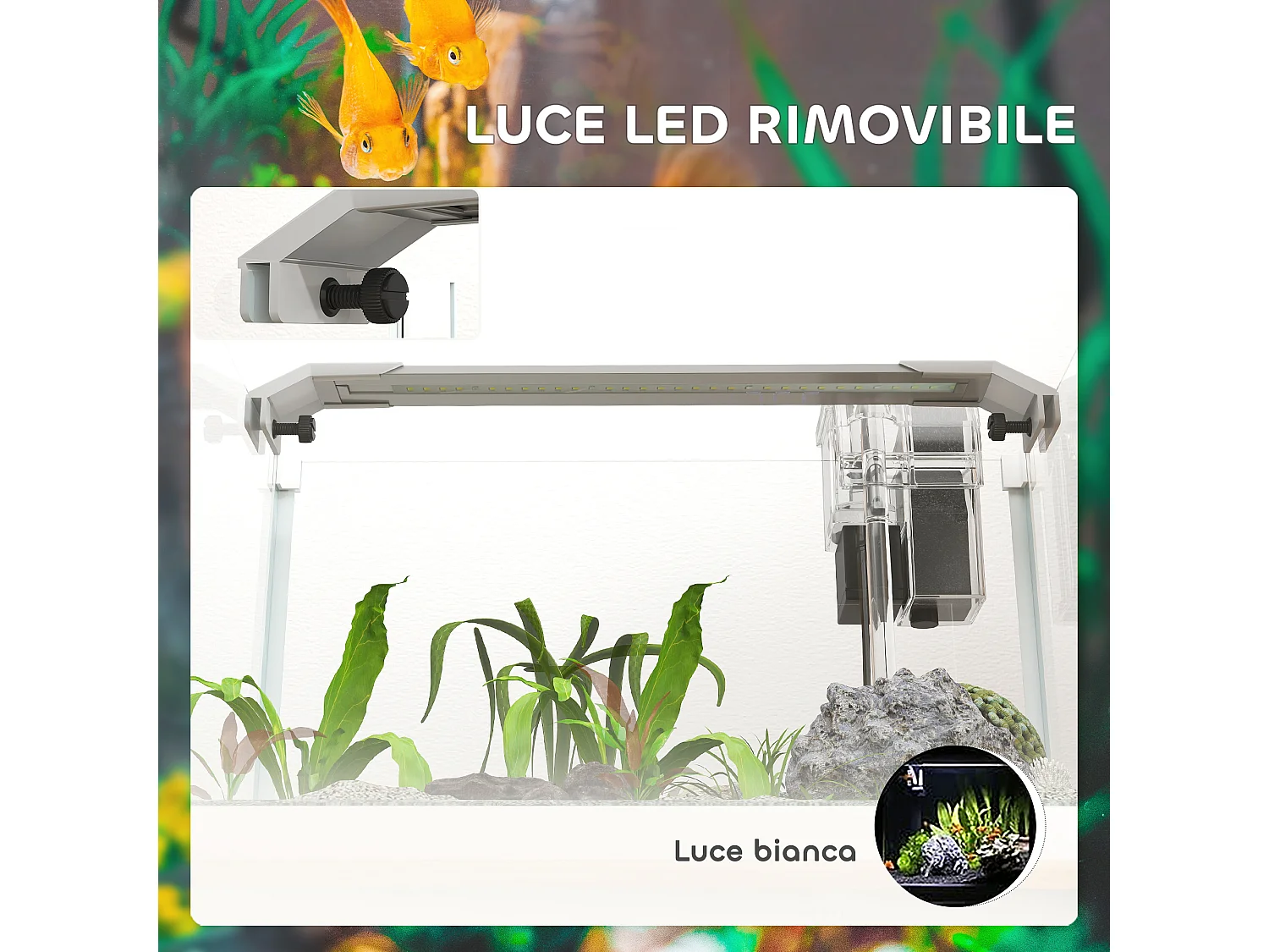 Acquario in vetro con luci led da 20l, filtro e pompa d'acqua bianco