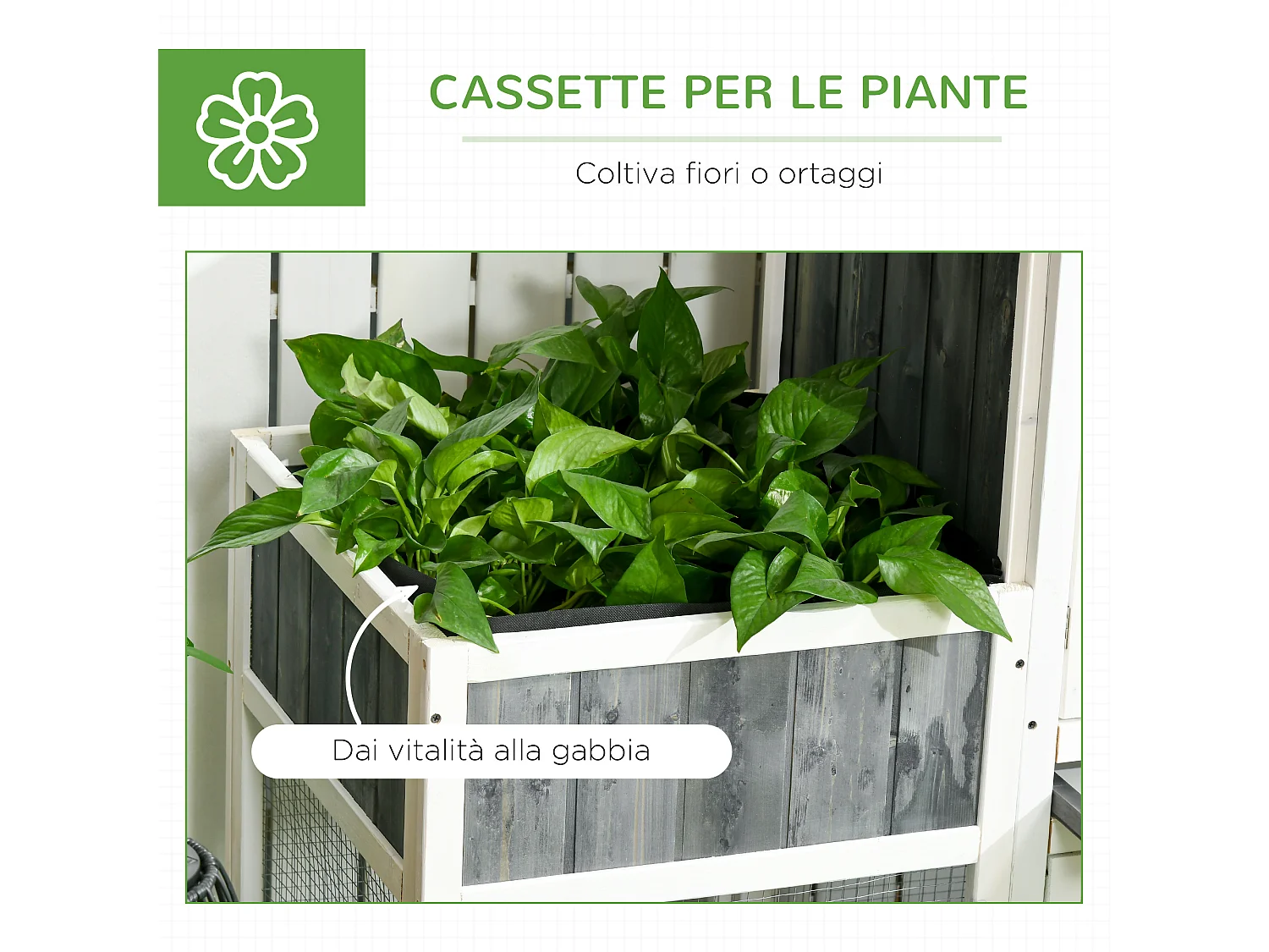 Pollaio prefabbricato in legno con area aperta casetta e nido grigio