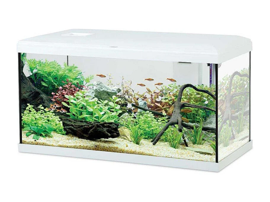 Kit aquarium eau douce avec éclairage et filtres Initio 54 litres