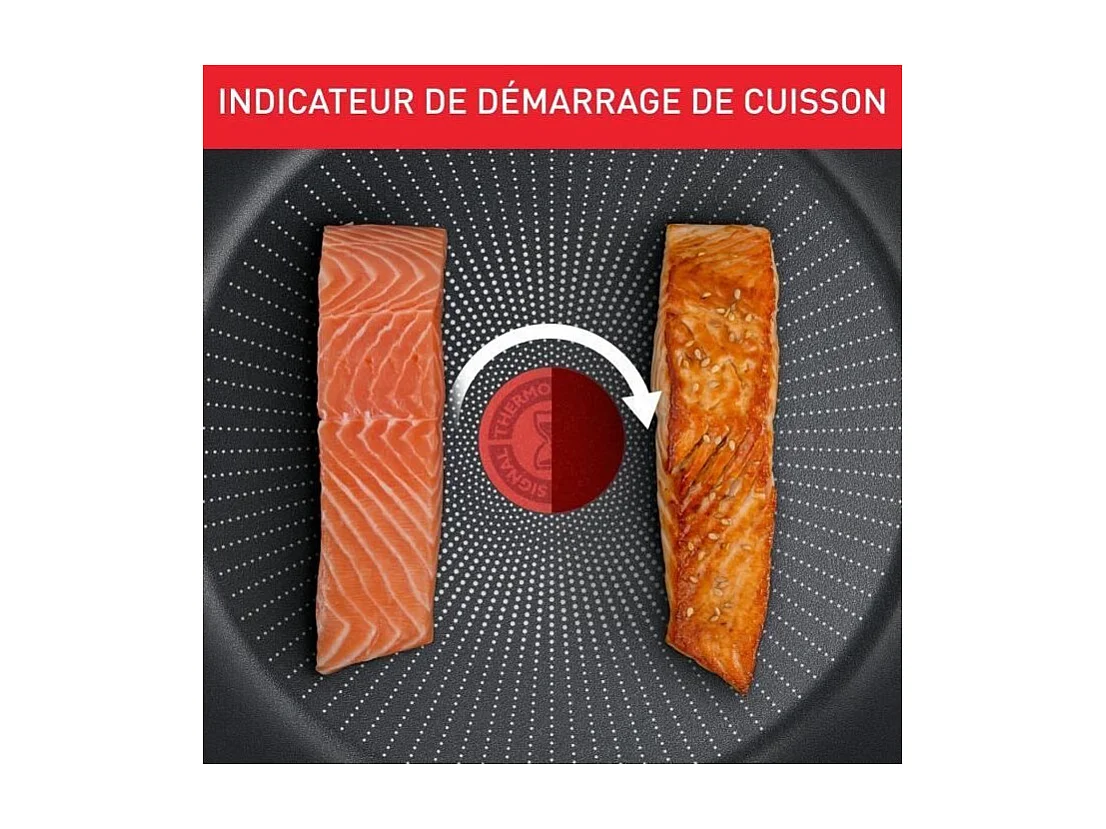 TEFAL Poele 24 cm, Induction, Revetement antiadhésif, Forme profonde, Poignée ergonomique, Fabriqué en France