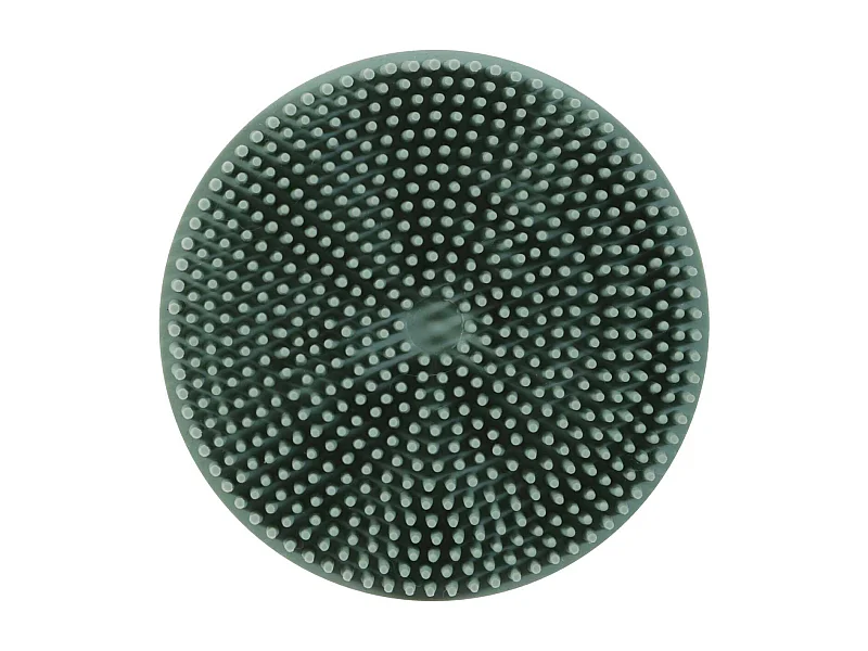 Brosse en caoutchouc pour lapin et cochon d'Inde Brosse massante