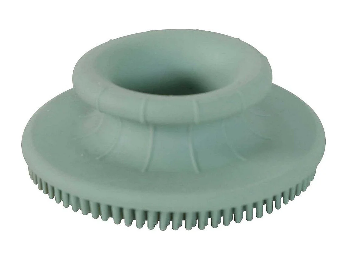 Brosse en caoutchouc pour lapin et cochon d'Inde Brosse massante