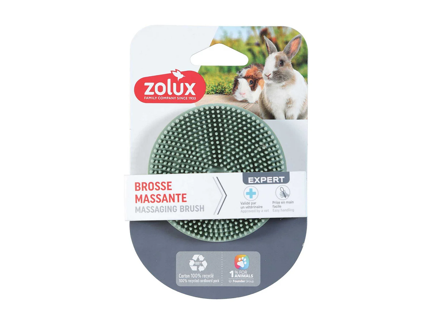 Brosse en caoutchouc pour lapin et cochon d'Inde Brosse massante