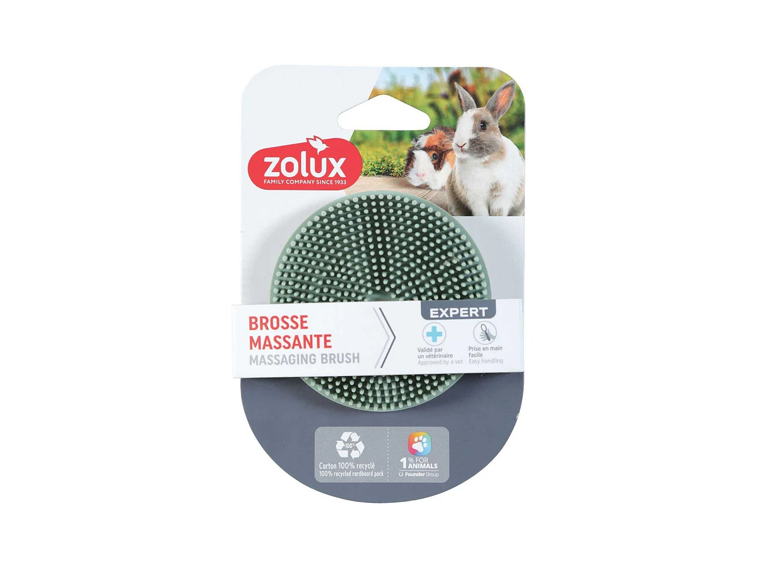 Brosse en caoutchouc pour lapin et cochon d'Inde Brosse massante