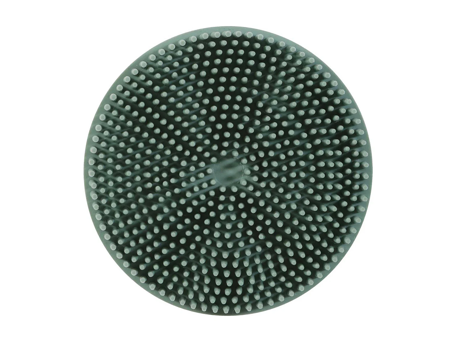 Brosse en caoutchouc pour lapin et cochon d'Inde Brosse massante