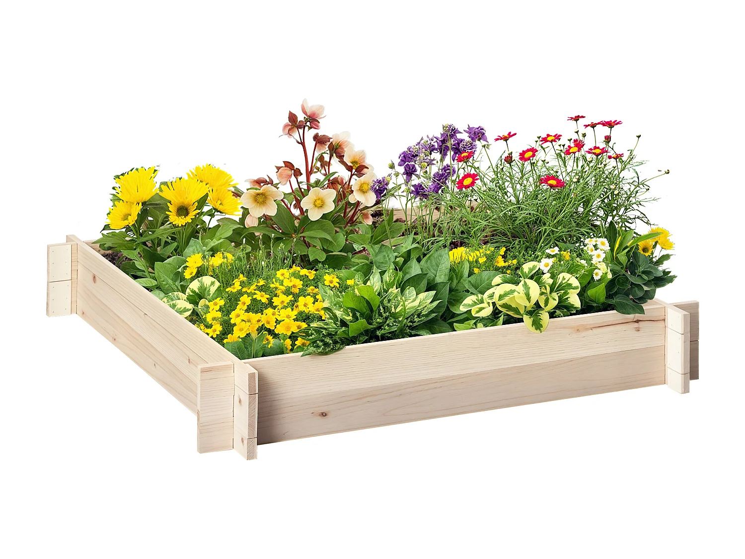 Letto per orto e giardino in legno montaggio senza viti 1x1m