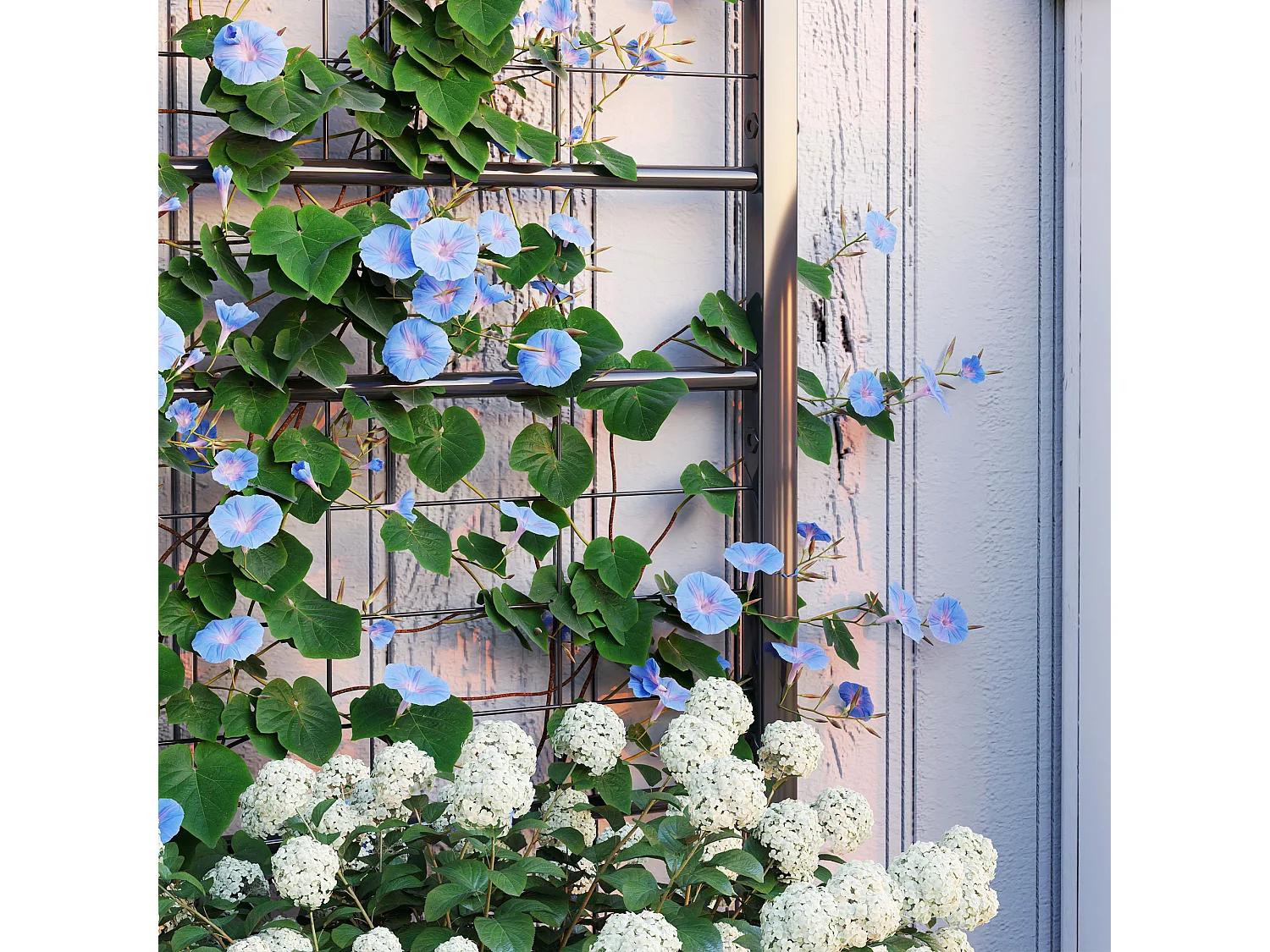 Fioriera con traliccio per rampicanti in acciaio zincato nero