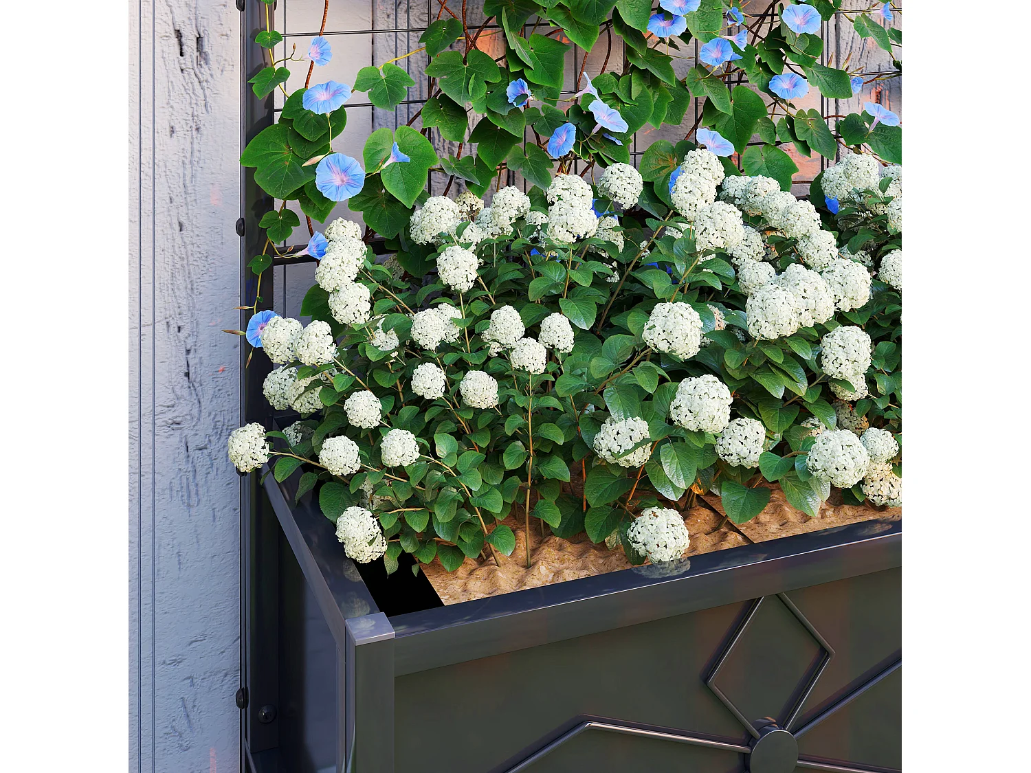 Fioriera con traliccio per rampicanti in acciaio zincato nero