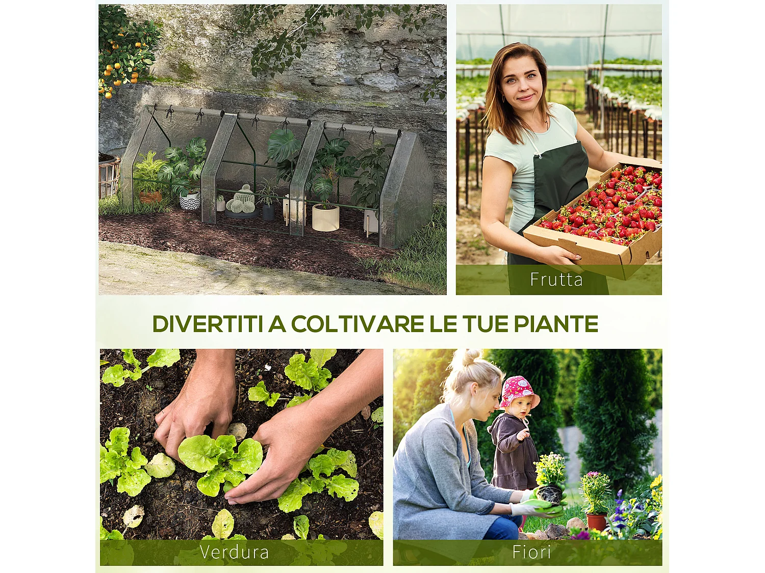 Serra a tunnel in pe con porte a cerniera bianca