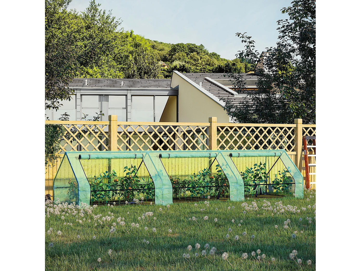 Serra per piante 4x1x0.8 m con 3 ingressi avvolgibili in acciaio e pe