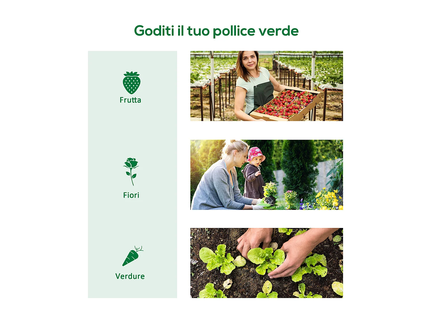 Serra per piante 4x1x0.8 m con 3 ingressi avvolgibili in acciaio e pe