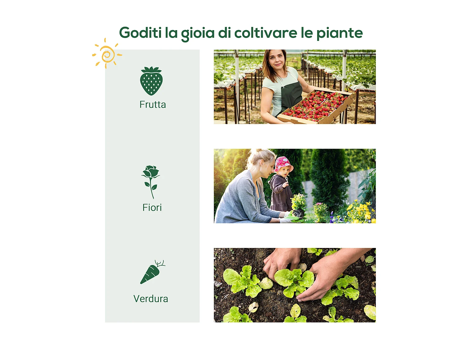 Serra da giardino ripiani in metallo copertura pe 80x49x160cm