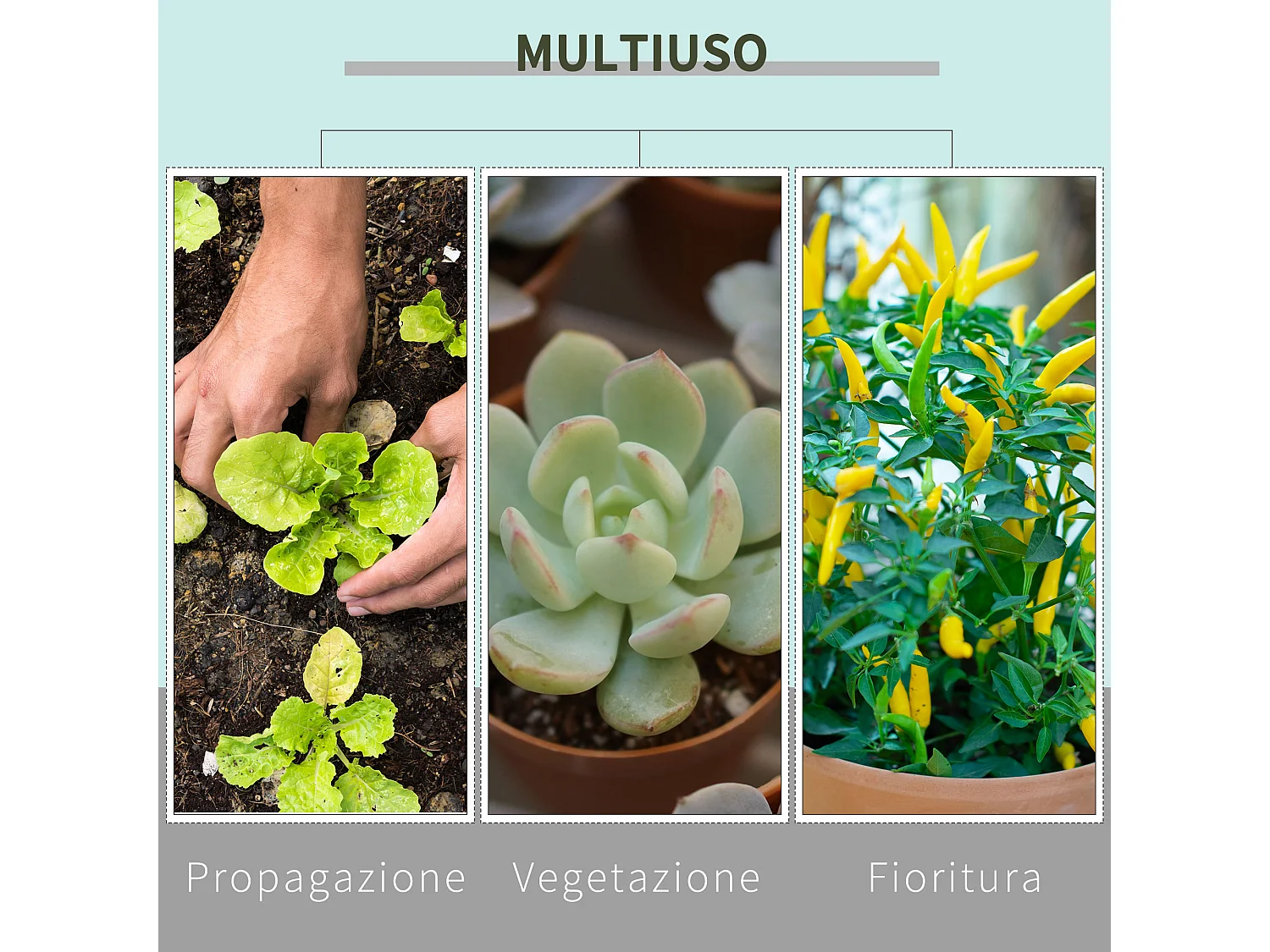 Tenda da coltivazione idroponica in mylar e oxford 600d 80x80x160 cm