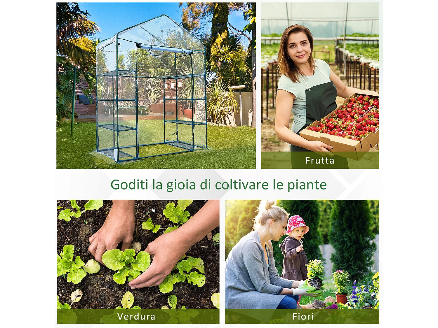 Serra da giardino acciaio e pvc trasparente porta avvolgibile