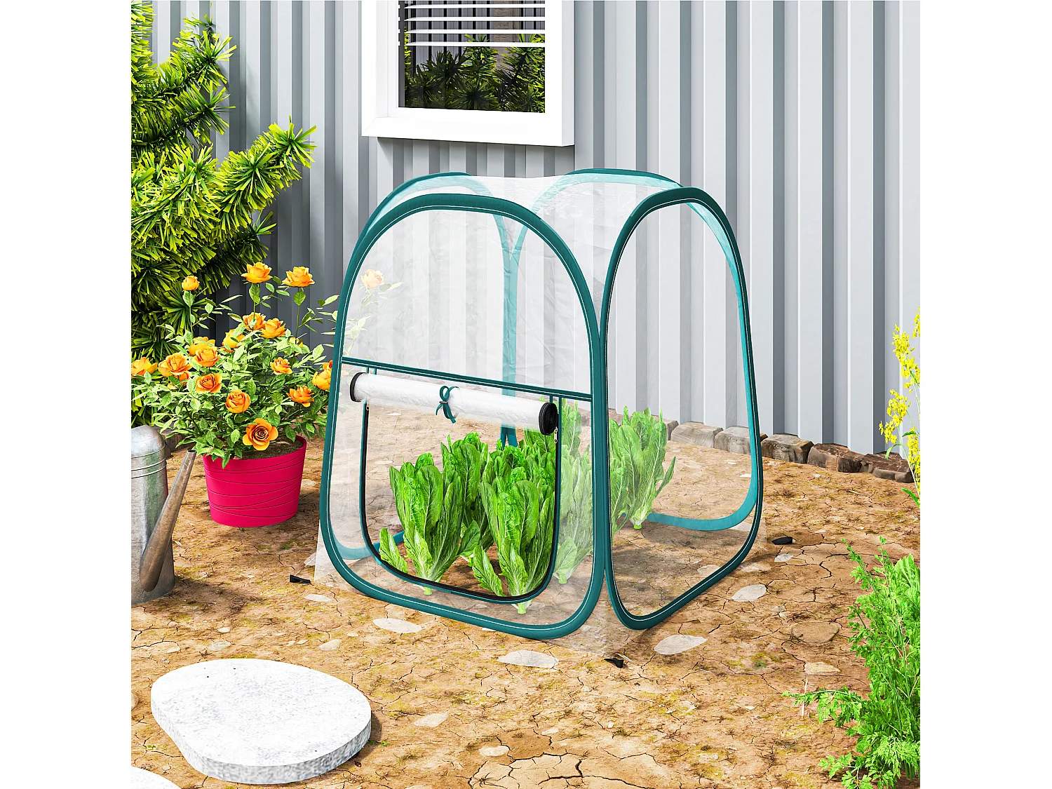 Mini serra pop up con finestra e copertura in plastica trasparente