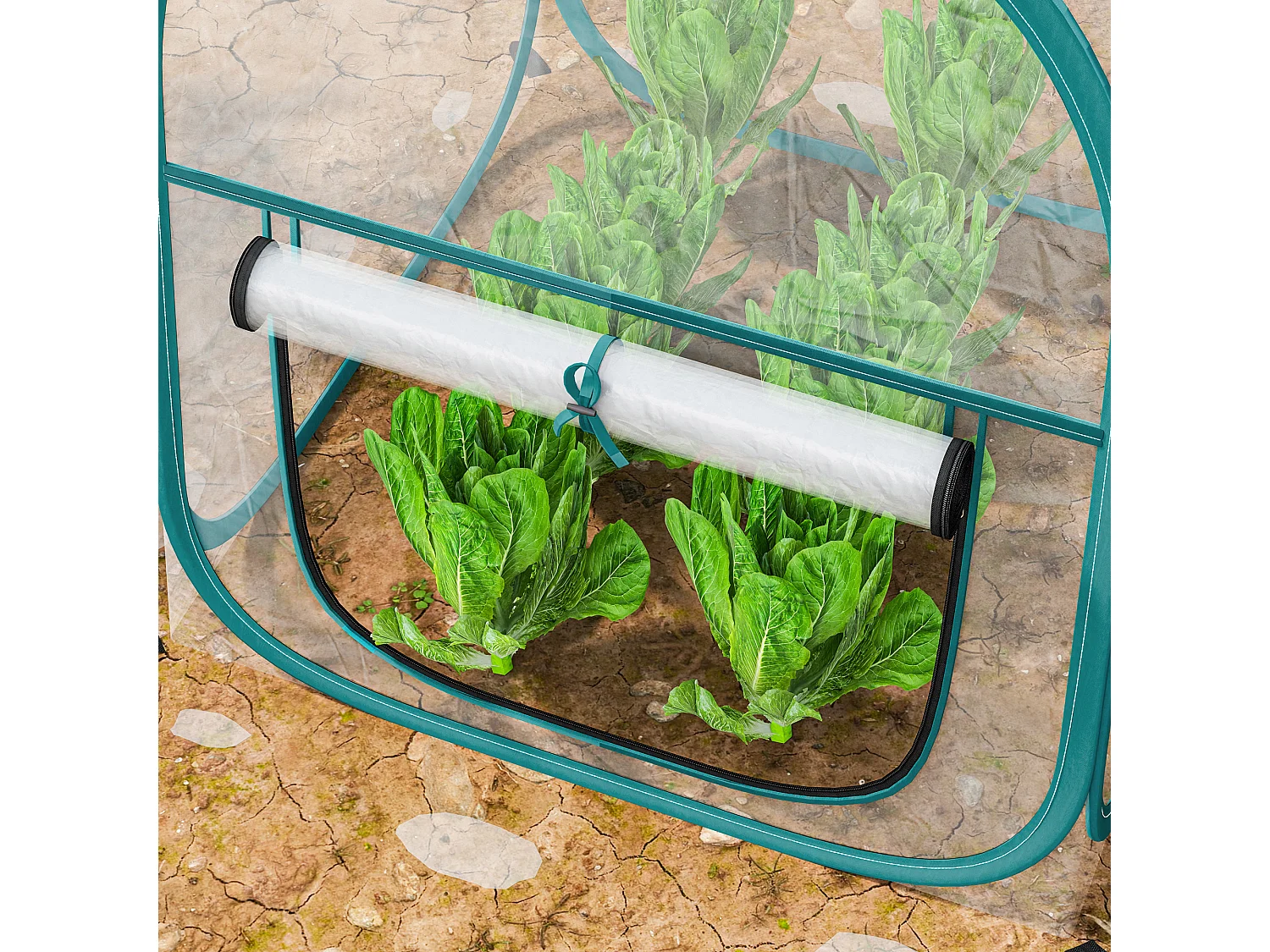 Mini serra pop up con finestra e copertura in plastica trasparente