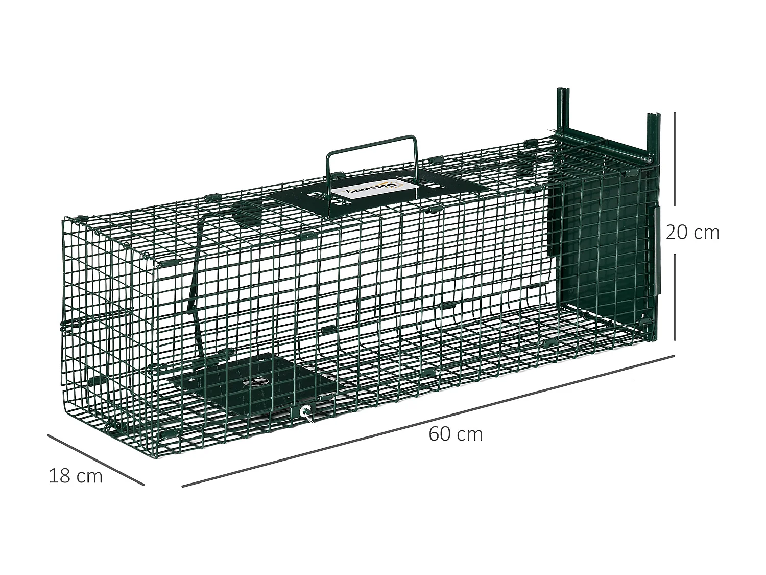 Gabbia trappola per ratti, topi nutrie con porta singola verde