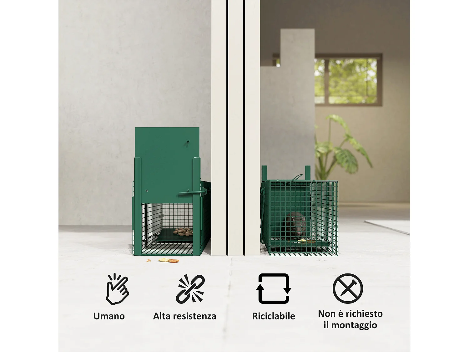 Gabbia trappola per ratti, topi nutrie con porta singola verde