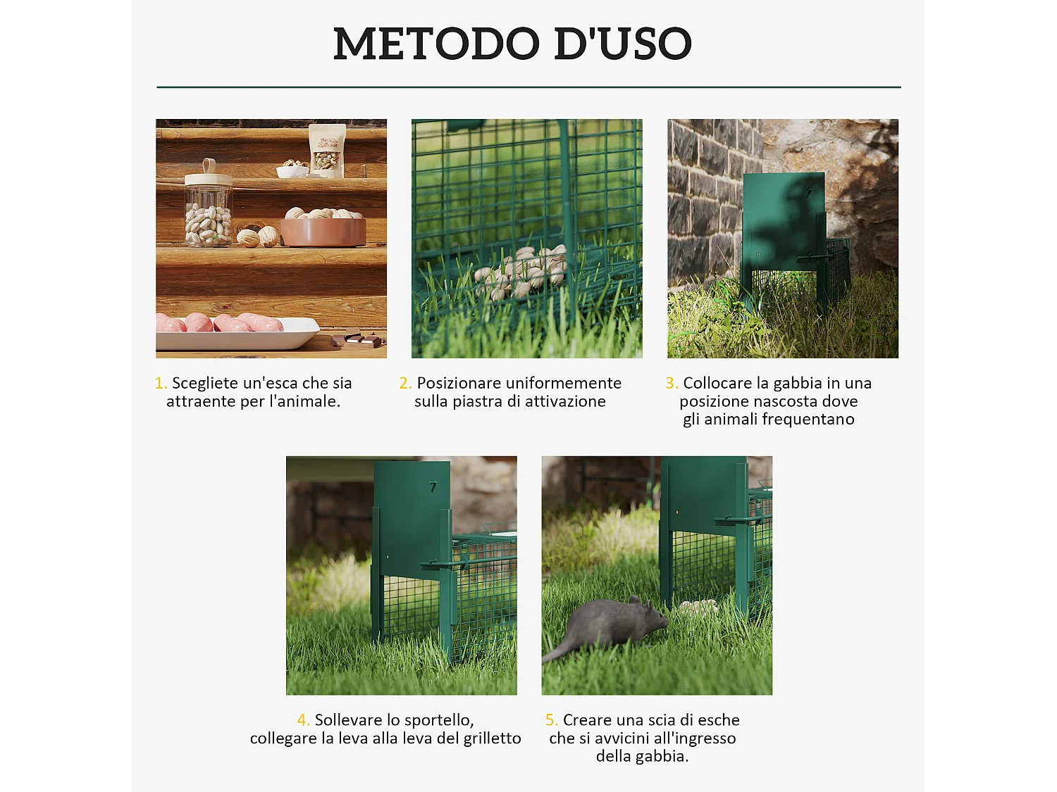 Gabbia trappola per ratti, topi nutrie con porta singola verde