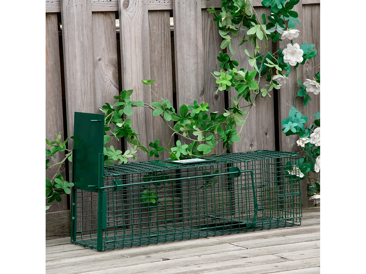 Gabbia trappola per ratti, topi nutrie con porta singola verde