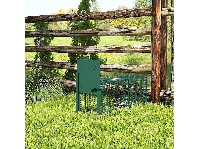 Gabbia trappola per ratti, topi nutrie con porta singola verde